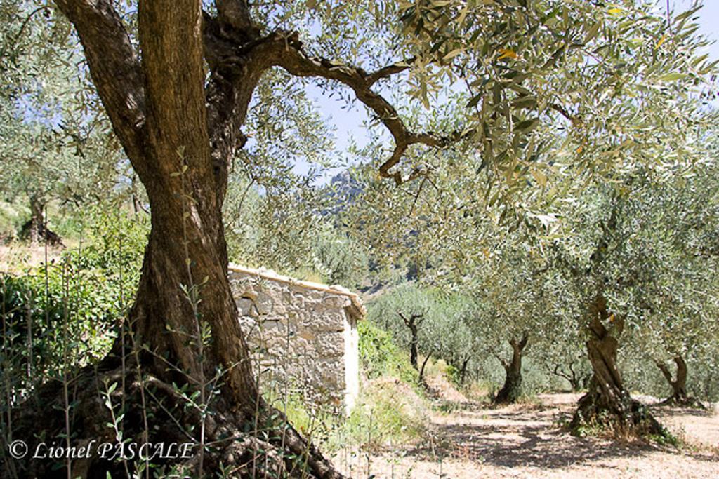 Gite Marius Mirabel-aux-Baronnies المظهر الخارجي الصورة